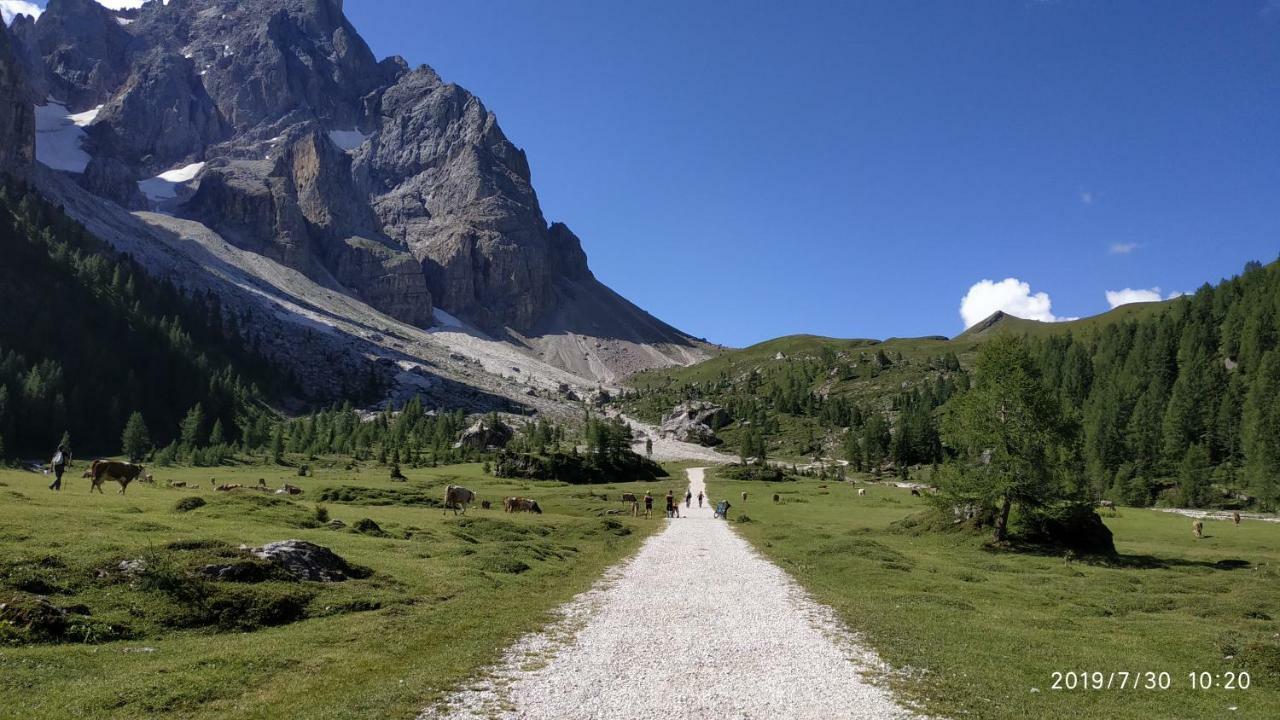 Il Covo Dello Sciatore Leilighet Falcade Eksteriør bilde