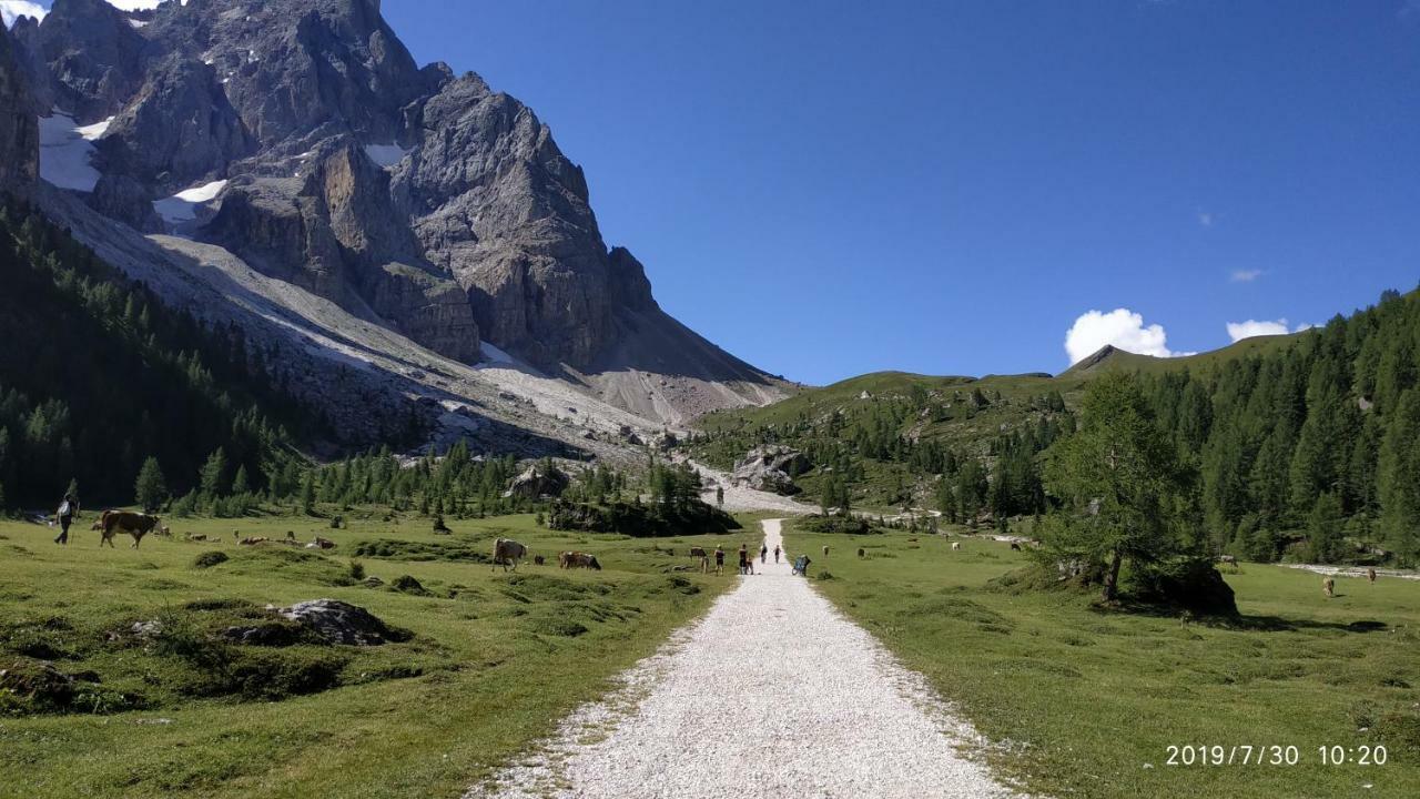 Il Covo Dello Sciatore Falcade Eksteriør bilde